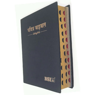 Hindi Bible Chainess Printed Edition