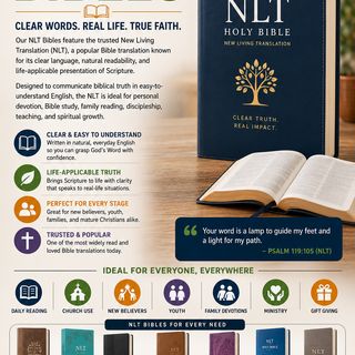 NLT Bibles