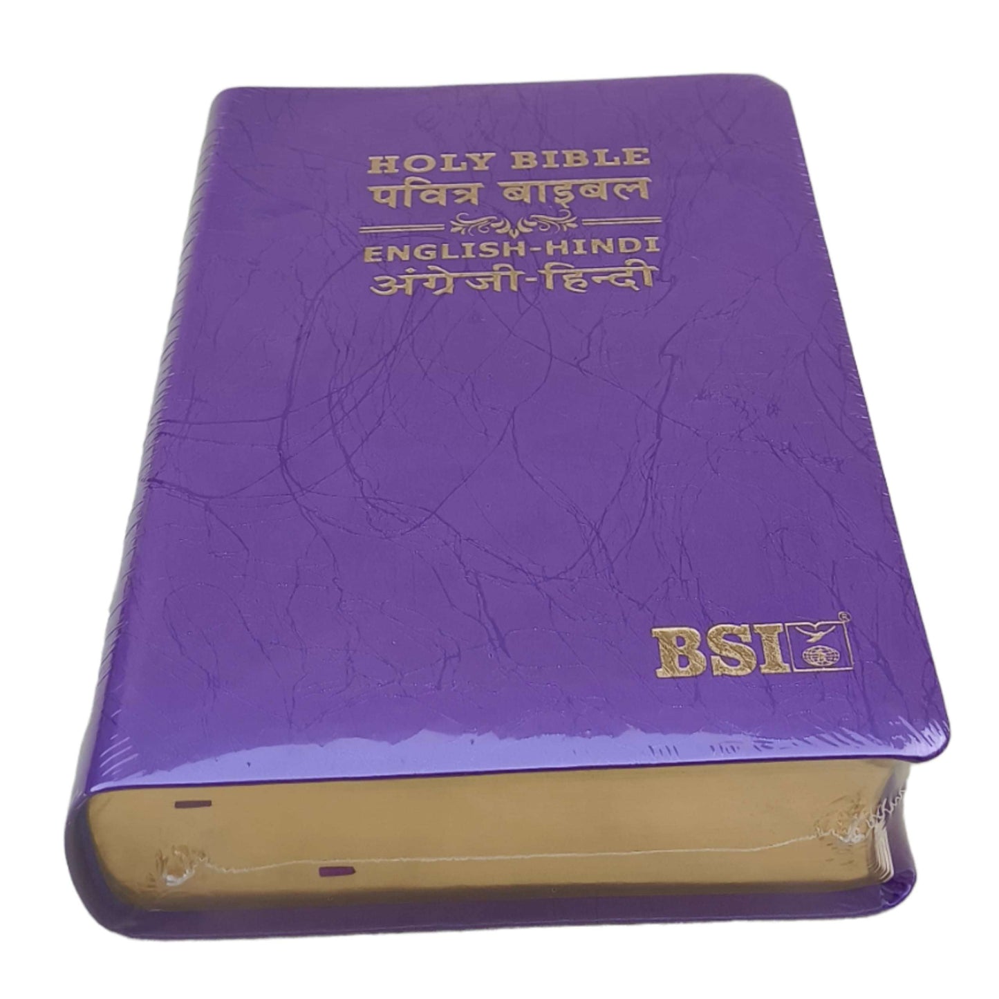 English Hindi Diglot Bible in Leather All In Color