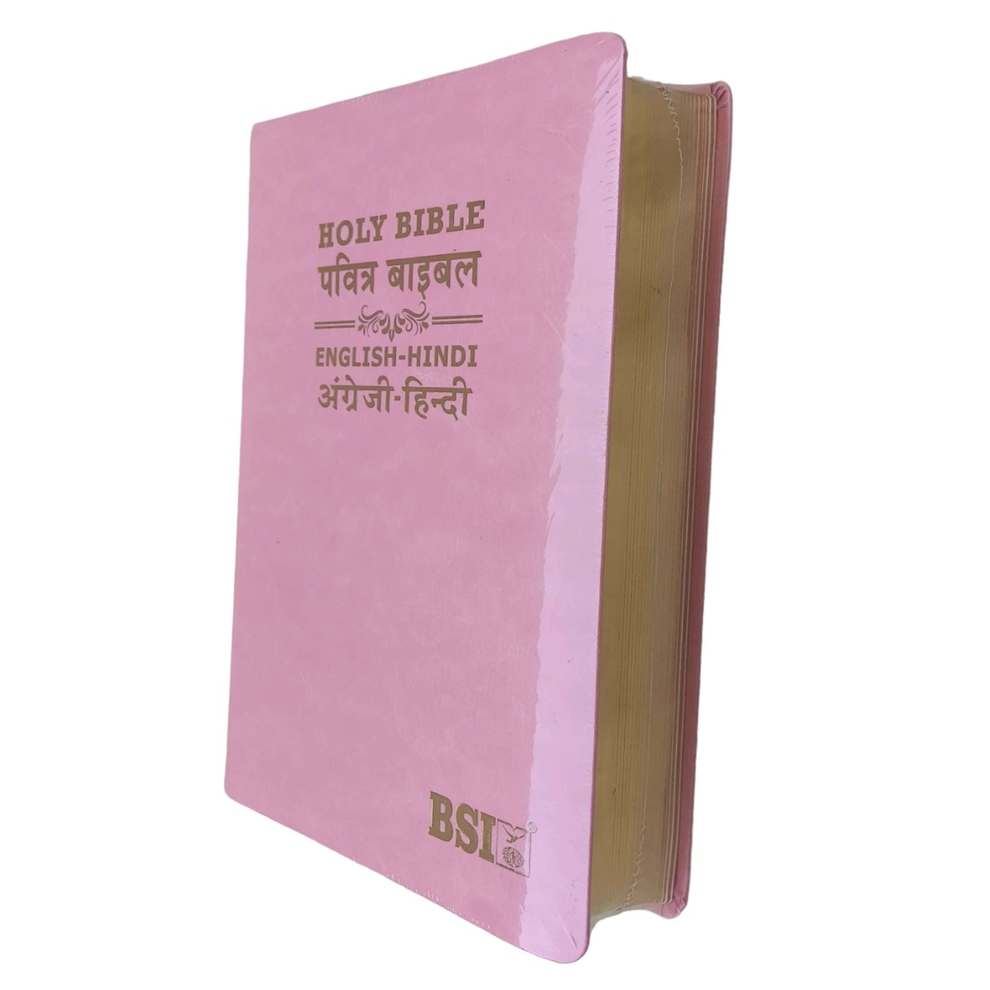 English Hindi Diglot Bible in Leather All In Color