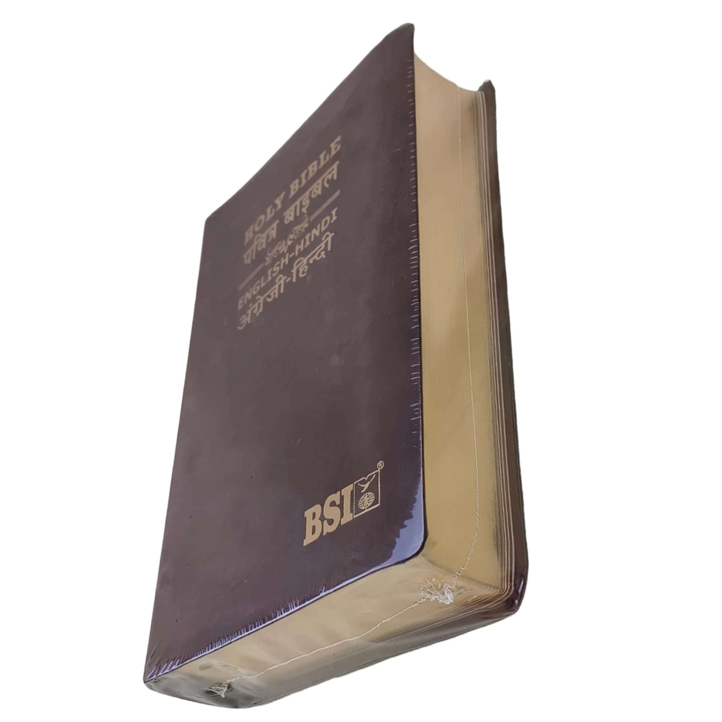 English Hindi Diglot Bible in Leather All In Color