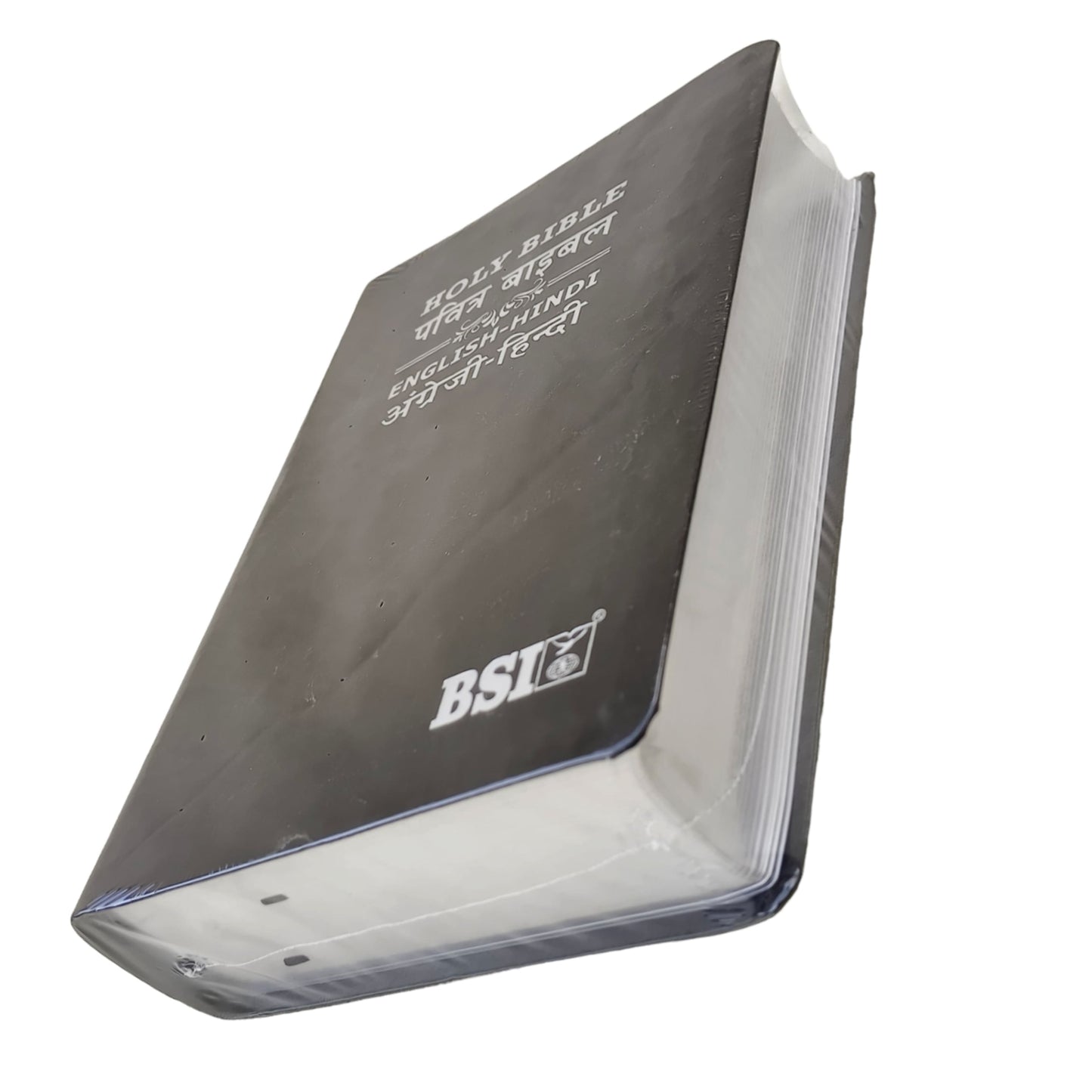 English Hindi Diglot Bible in Leather All In Color