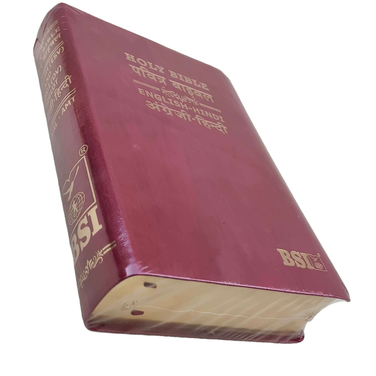 English Hindi Diglot Bible in Leather All In Color