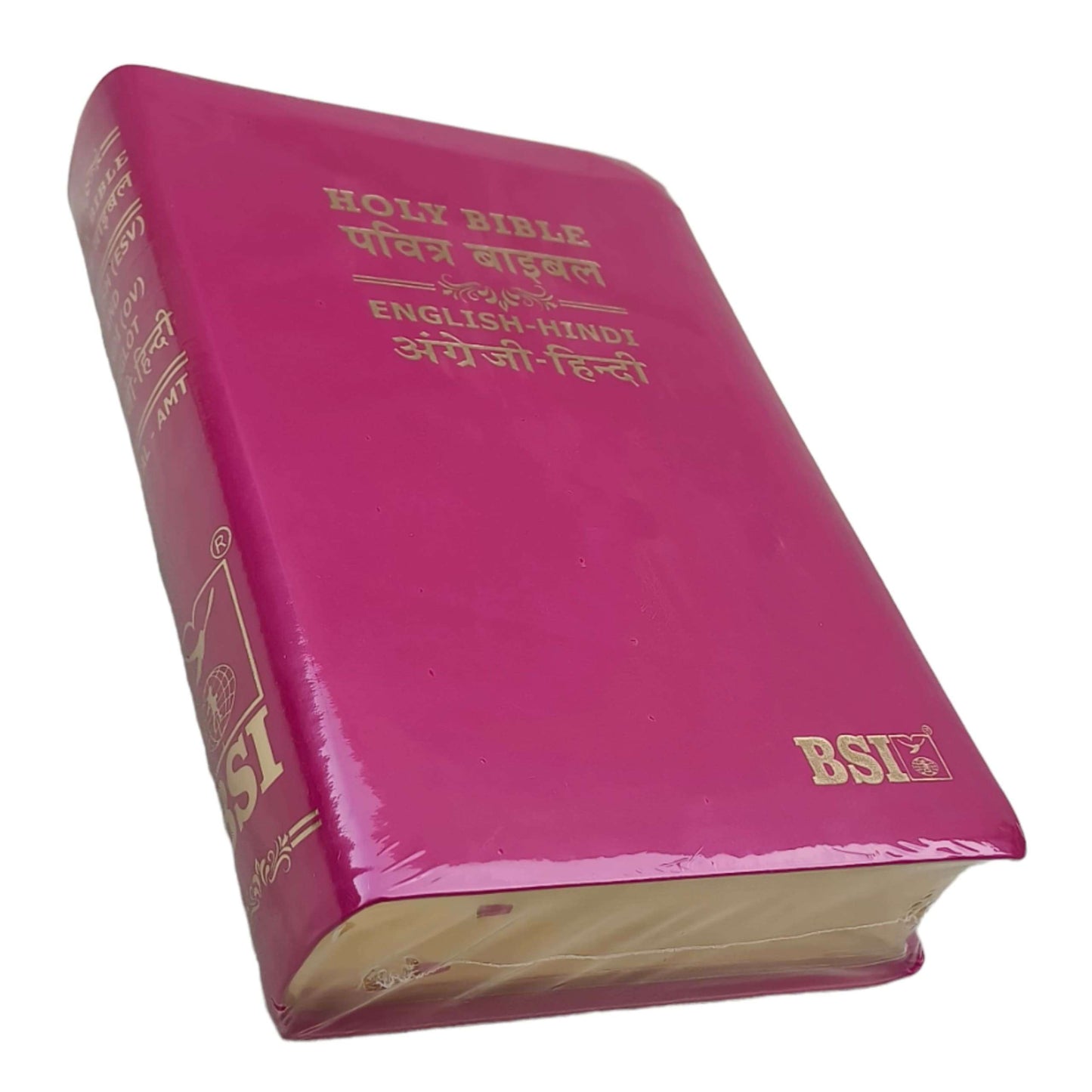 English Hindi Diglot Bible in Leather All In Color