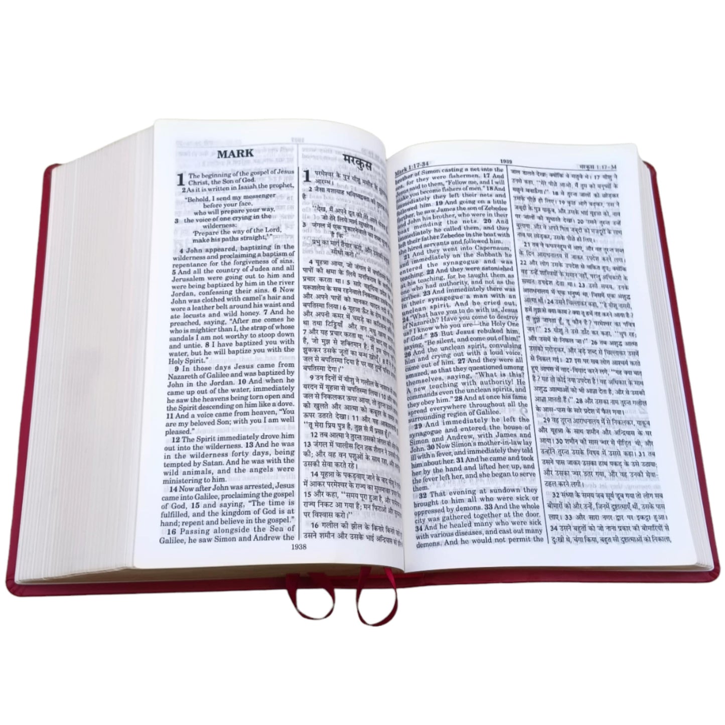 English Hindi Diglot Bible in Leather All In Color