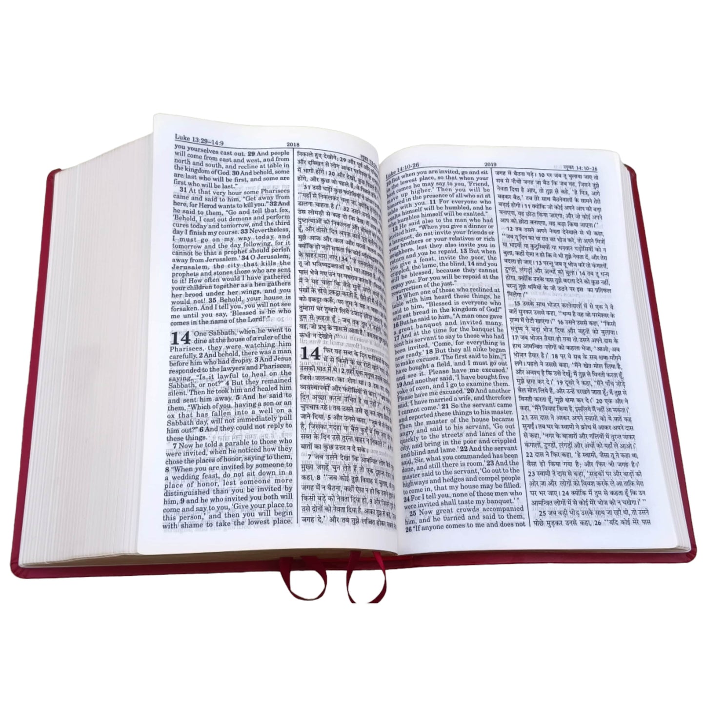 English Hindi Diglot Bible in Leather All In Color