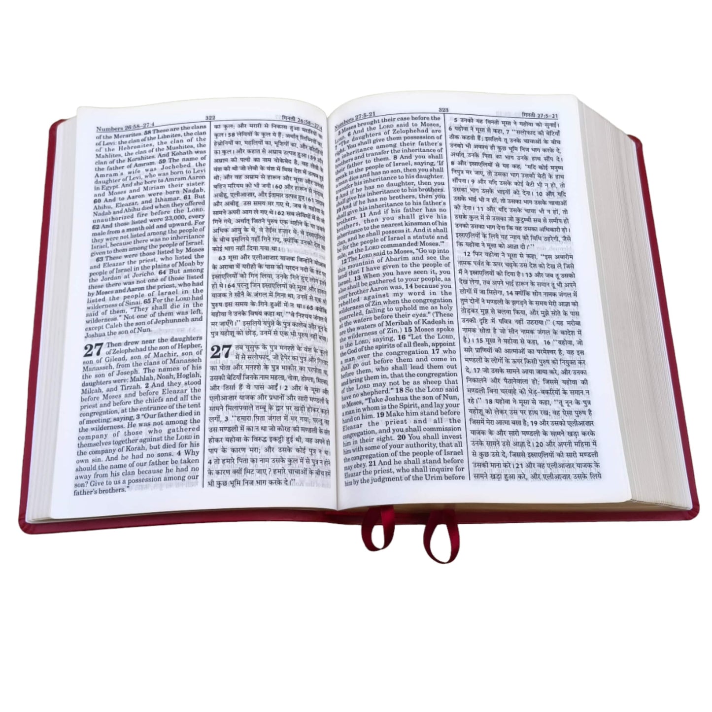 English Hindi Diglot Bible in Leather All In Color
