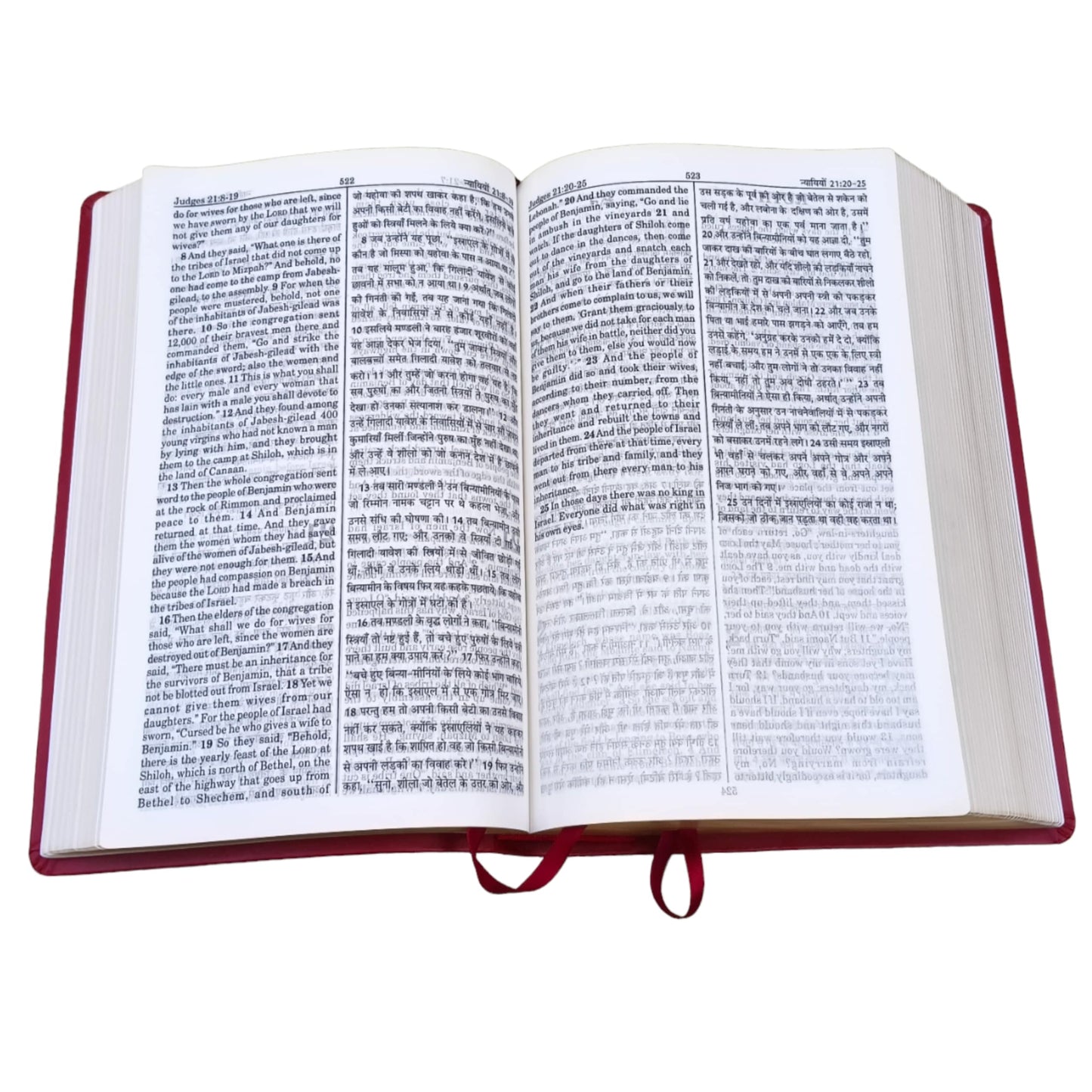 English Hindi Diglot Bible in Leather All In Color