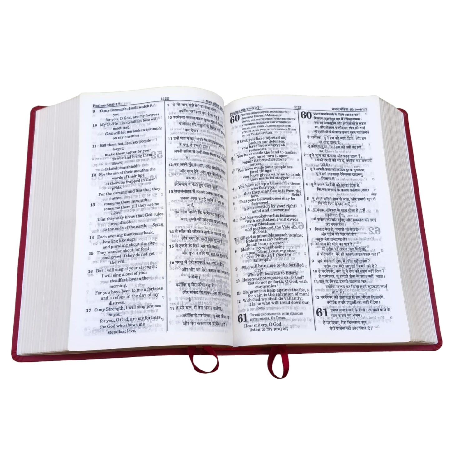 English Hindi Diglot Bible in Leather All In Color