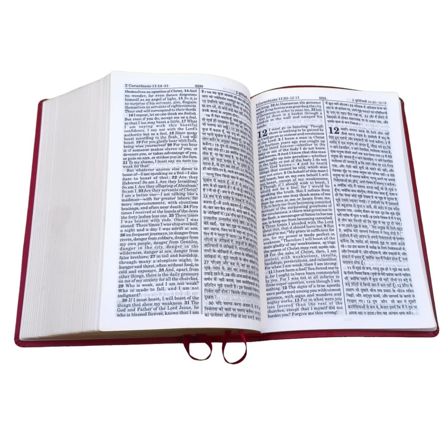 English Hindi Diglot Bible in Leather All In Color