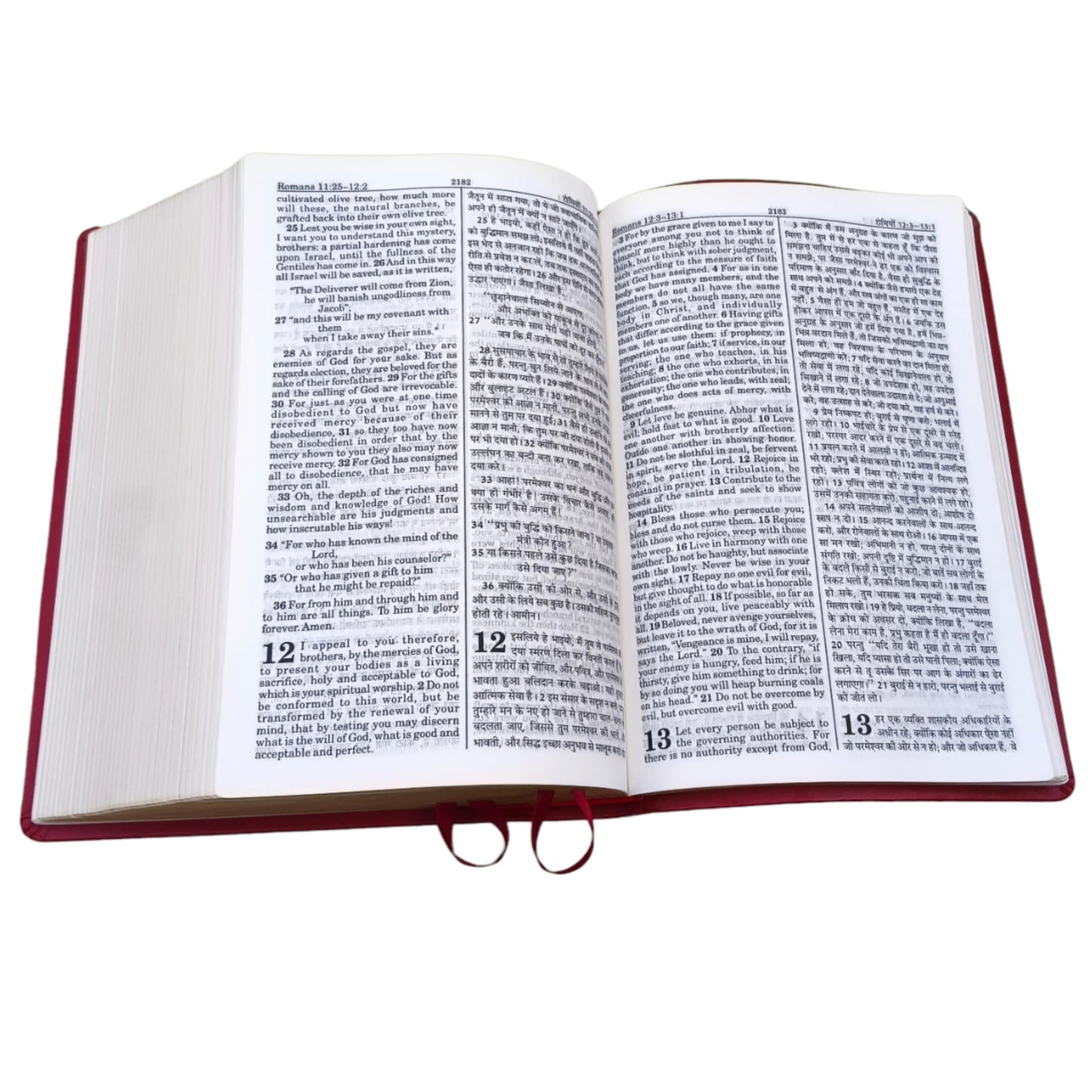 English Hindi Diglot Bible in Leather All In Color