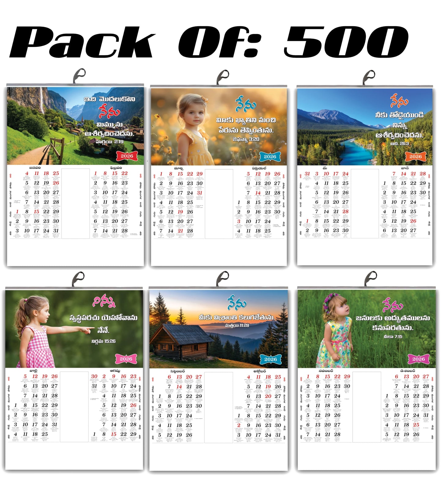 2026 Telugu Calendar with Beautiful Flowers & Birds Images | Inspirational Telugu Promise Words | 15x20 Inch Premium Glossy Wall Calendar | 6 Pages Front Print