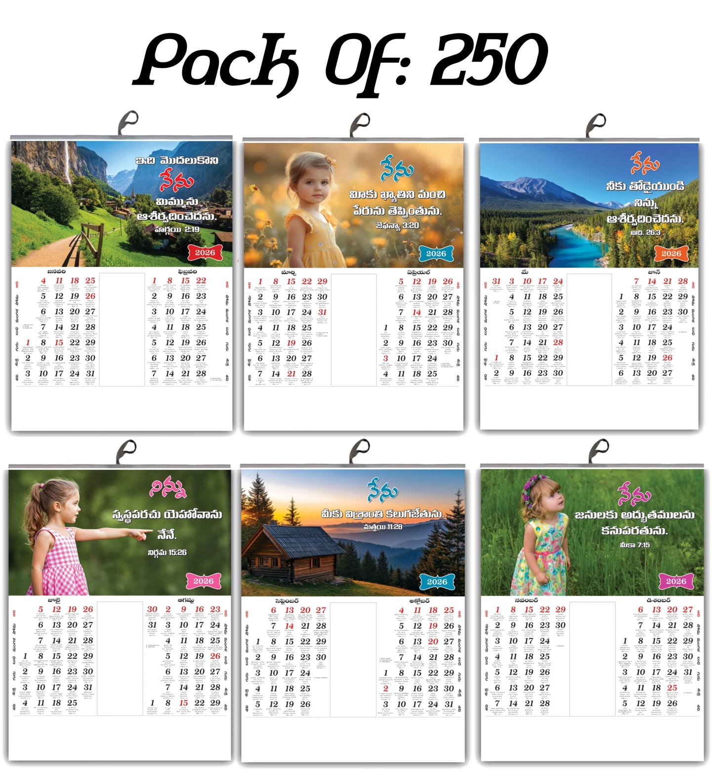 2026 Telugu Calendar with Beautiful Flowers & Birds Images | Inspirational Telugu Promise Words | 15x20 Inch Premium Glossy Wall Calendar | 6 Pages Front Print