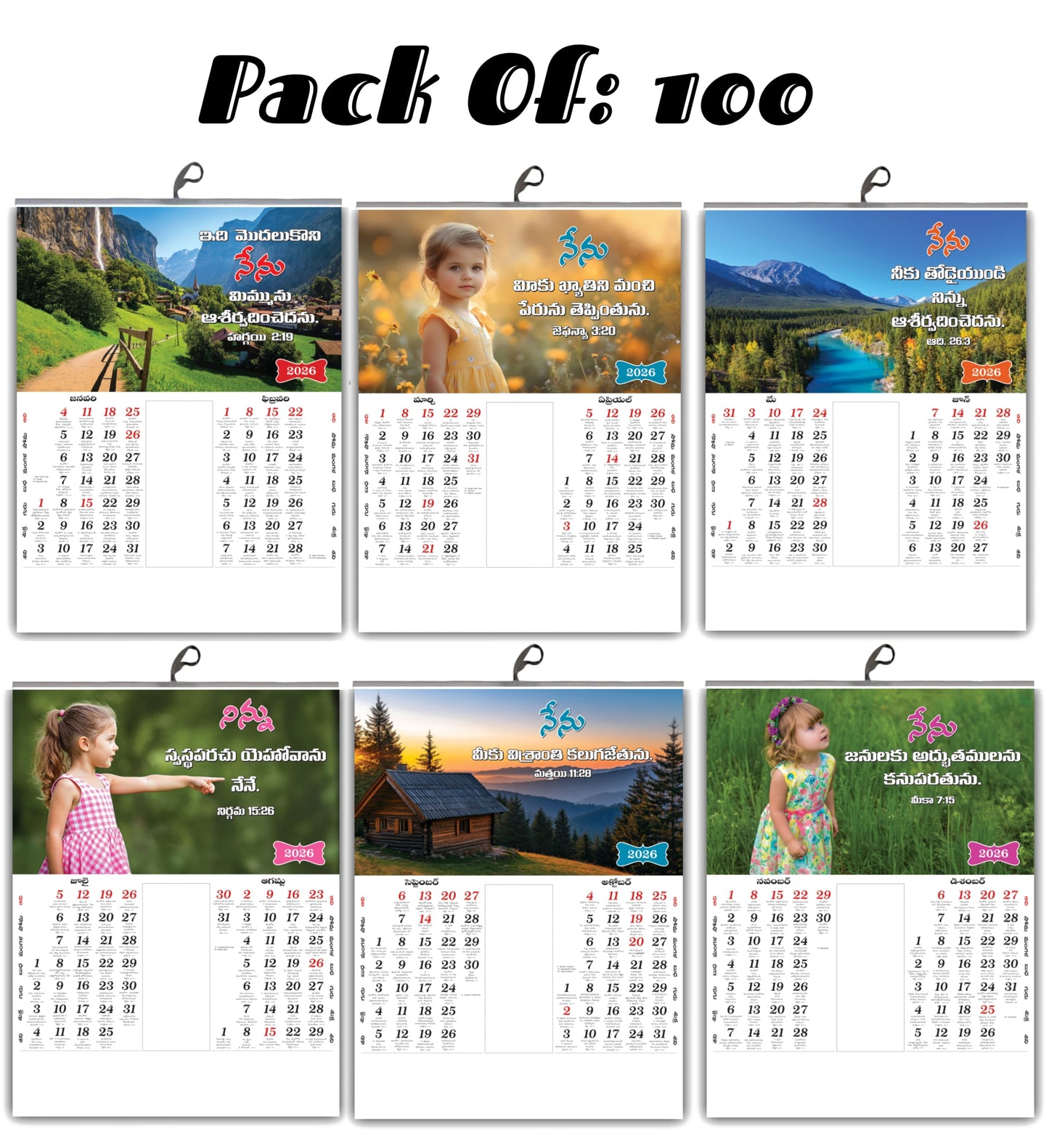 2026 Telugu Calendar with Beautiful Flowers & Birds Images | Inspirational Telugu Promise Words | 15x20 Inch Premium Glossy Wall Calendar | 6 Pages Front Print