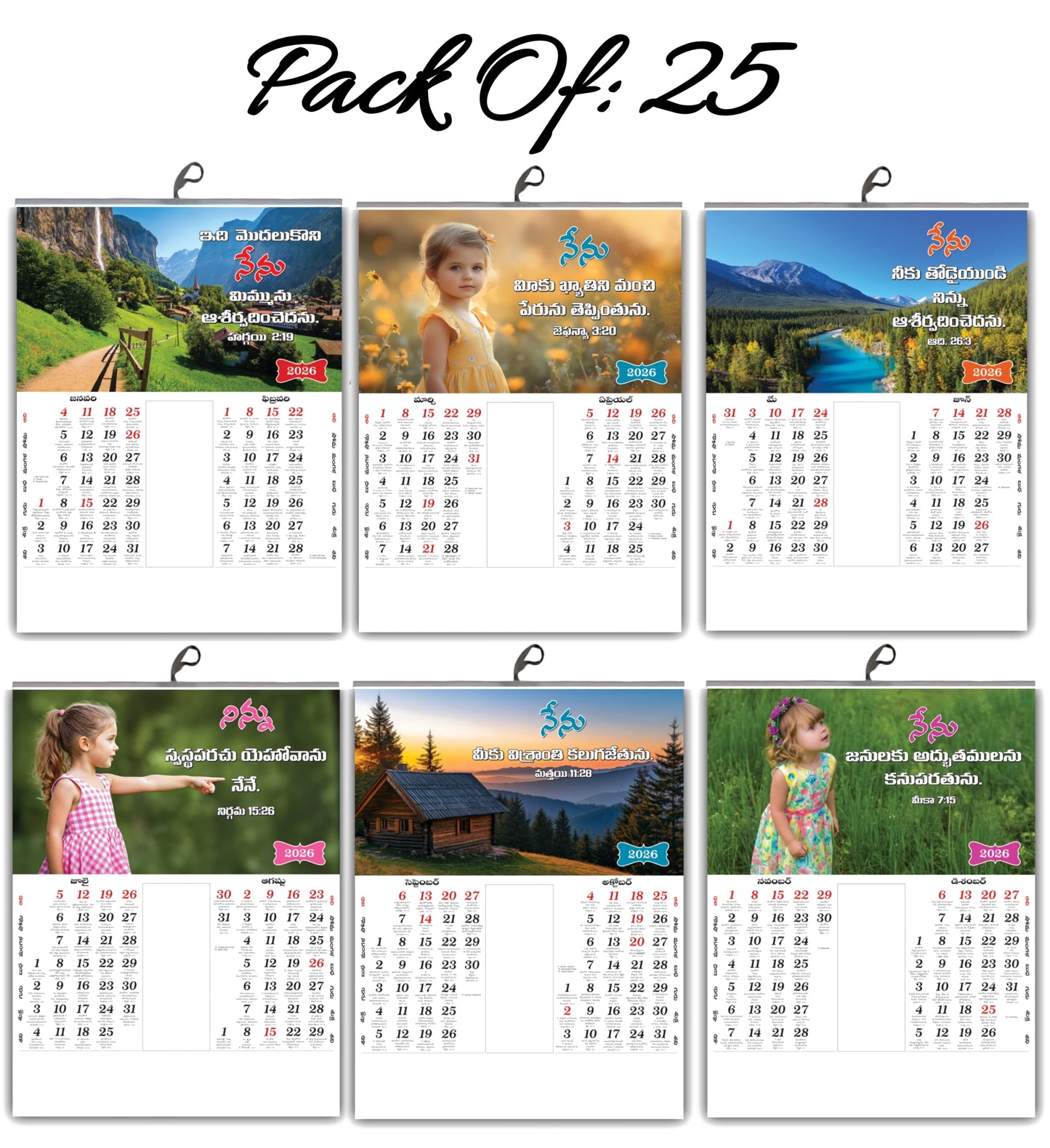 2026 Telugu Calendar with Beautiful Flowers & Birds Images | Inspirational Telugu Promise Words | 15x20 Inch Premium Glossy Wall Calendar | 6 Pages Front Print