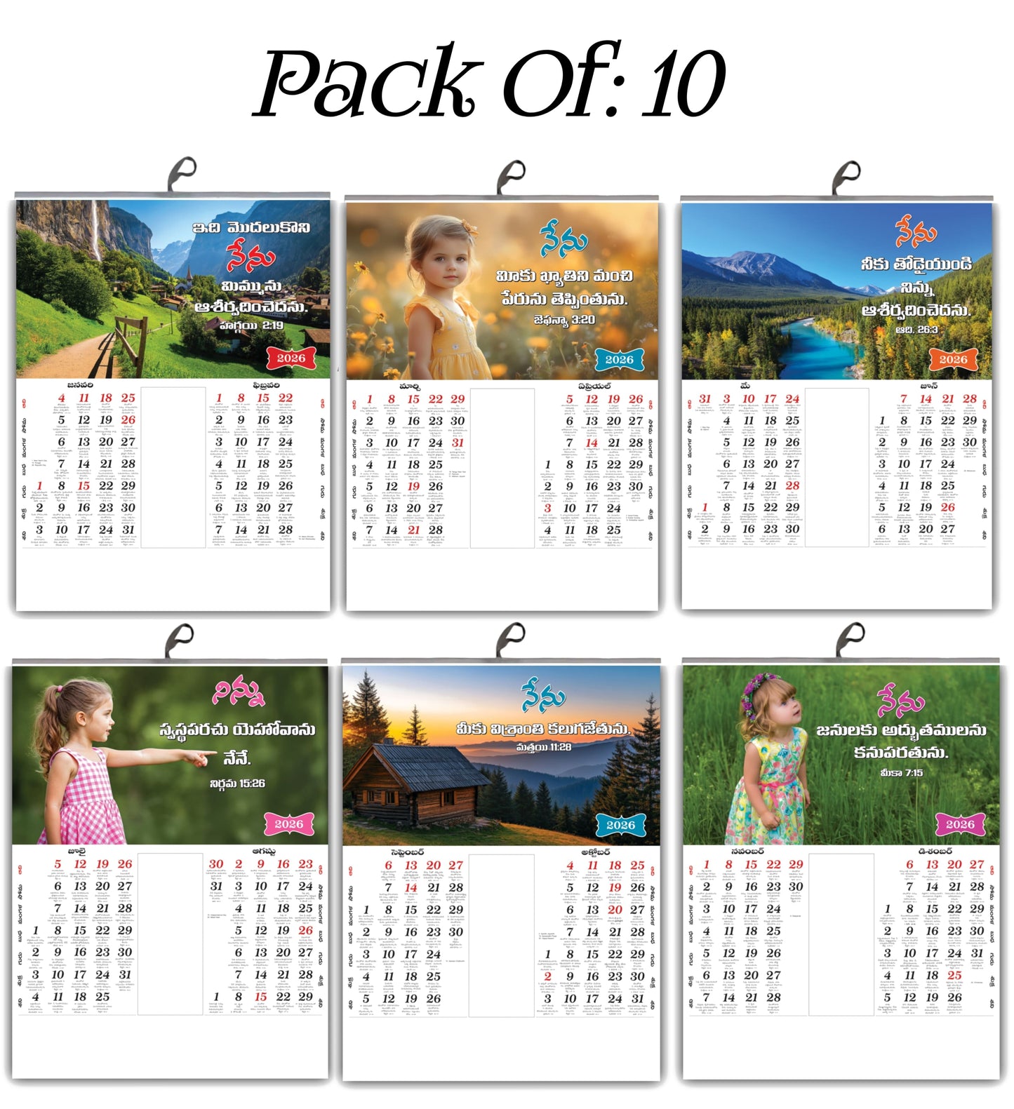 2026 Telugu Calendar with Beautiful Flowers & Birds Images | Inspirational Telugu Promise Words | 15x20 Inch Premium Glossy Wall Calendar | 6 Pages Front Print