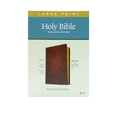 KJV Large Print Thinline Reference Bible: Filament Enabled