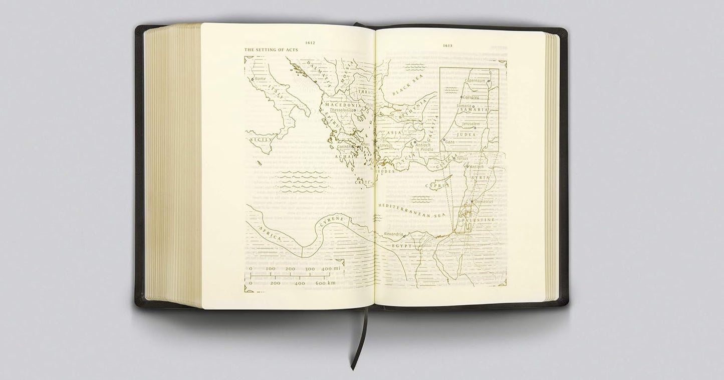 ESV Story of Redemption Bible | A Journey Through the Unfolding Promises of God | Study Bible | New Edition
