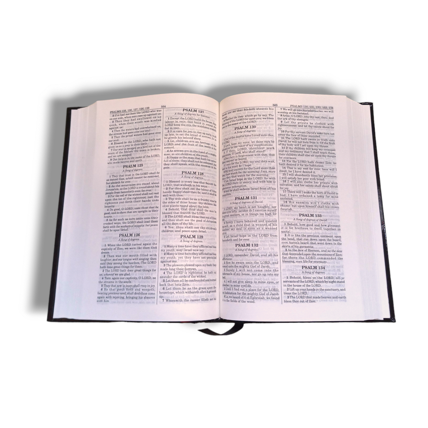 The Holy Bible In King James Version |Red Letter Edition |Normal Size KJV Bible