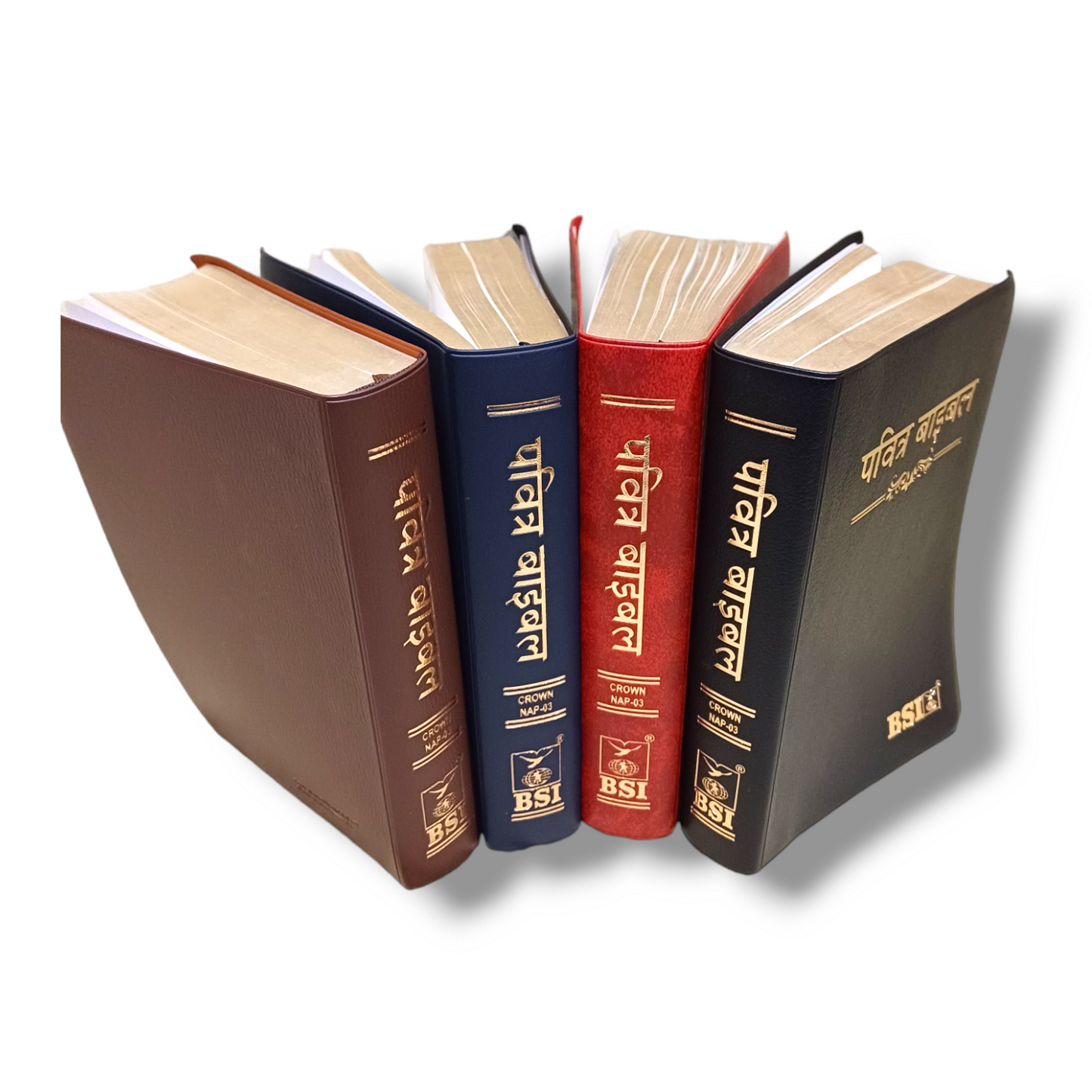 The Holy Bible In Hindi |Hindi Compact Size Bible |Golden Edge Bible |Crown Bible In All In Color Combo offer