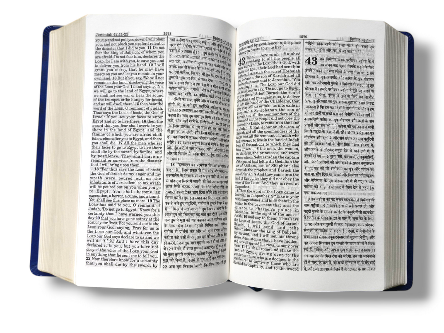 Diglot Bible | Compact Size | English Hindi Diglot Bible in Leather Bond | In Multiple Color | New Edition