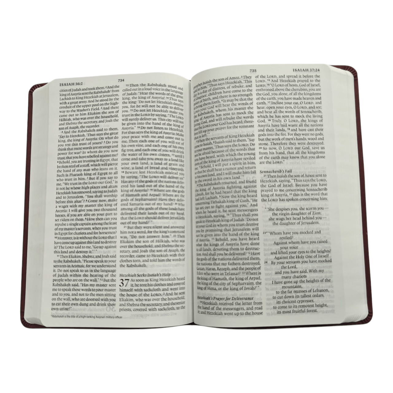 ESV Large Print Value Thinline Bible (English Language) | Easy-to-Read, Portable Edition | Japan Import