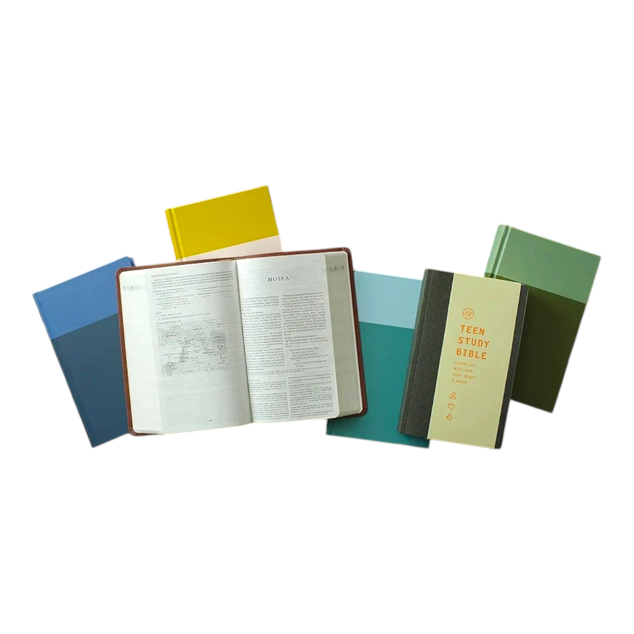 ESV Kid's Bible, Compact, TruTone, Flowers – A Durable and Portable First Bible for Girls (ISBN 9781433588464)