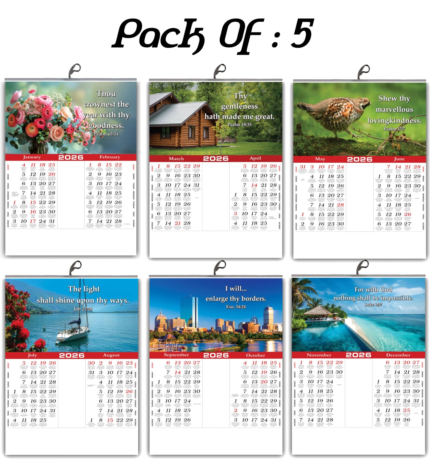 2026 "A Year of Wonder" Wall Calendar | Cute Baby, Flowers & Birds with Heartwarming Quotes 15x20 Inch Premium Glossy Wall Calendar