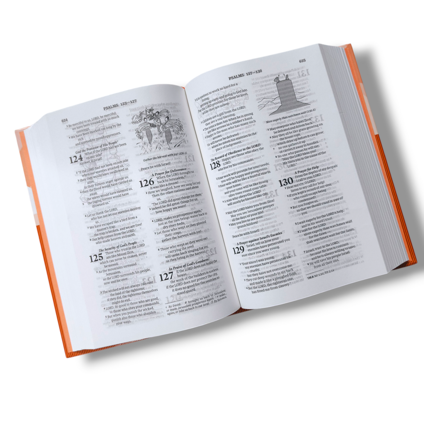 Good News Bible | Hard Bound Edition | Compact Size | In Multiple Color | | Picture's Bible | New Edition