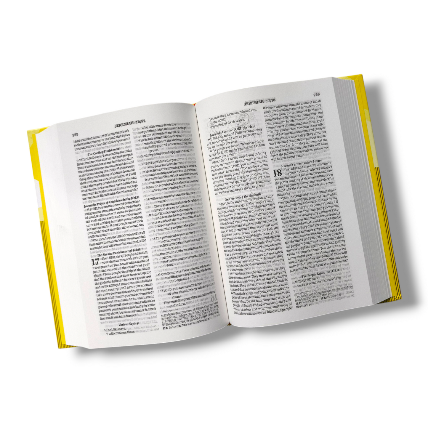 Good News Bible | Hard Bound Edition | Compact Size | In Multiple Color | | Picture's Bible | New Edition