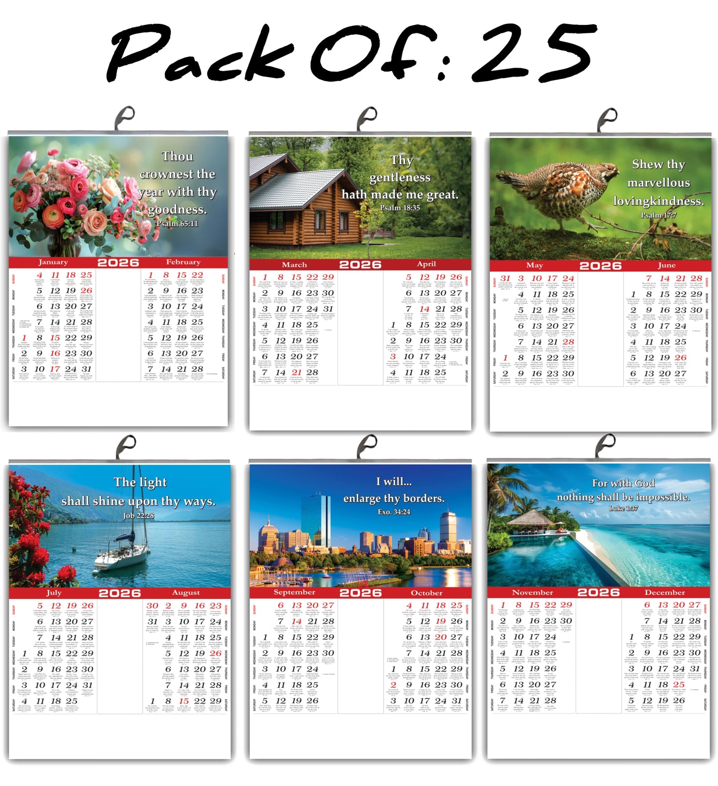 2026 "A Year of Wonder" Wall Calendar | Cute Baby, Flowers & Birds with Heartwarming Quotes 15x20 Inch Premium Glossy Wall Calendar