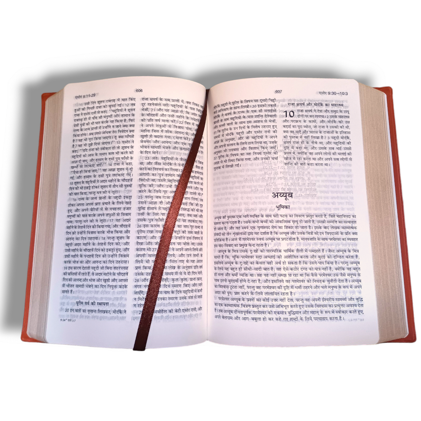 The Holy Bible In Hindi |Crown Navy Blue Color Bound |Golden Edge Bible |Hindi Compact Size Bible