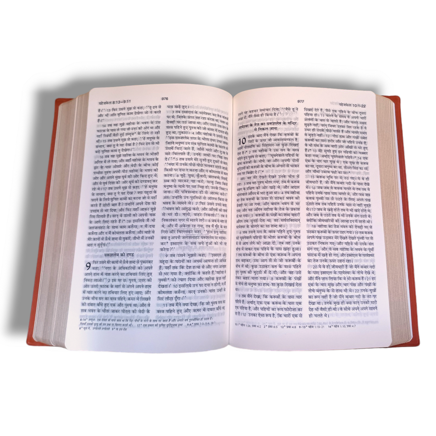 The Holy Bible In Hindi |Hindi Compact Size Bible |Golden Edge Bible |Crown Bible In All In Color Combo offer