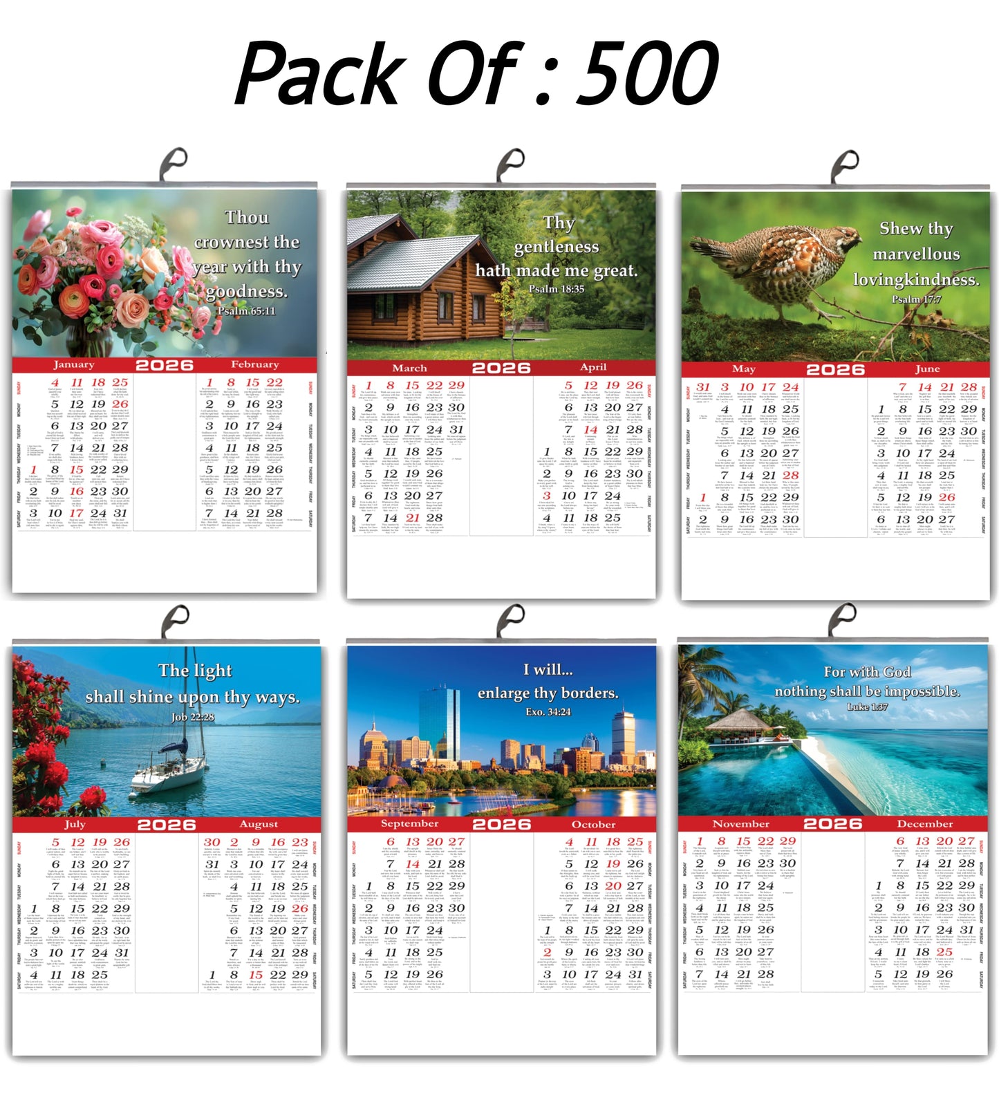 2026 "A Year of Wonder" Wall Calendar | Cute Baby, Flowers & Birds with Heartwarming Quotes 15x20 Inch Premium Glossy Wall Calendar