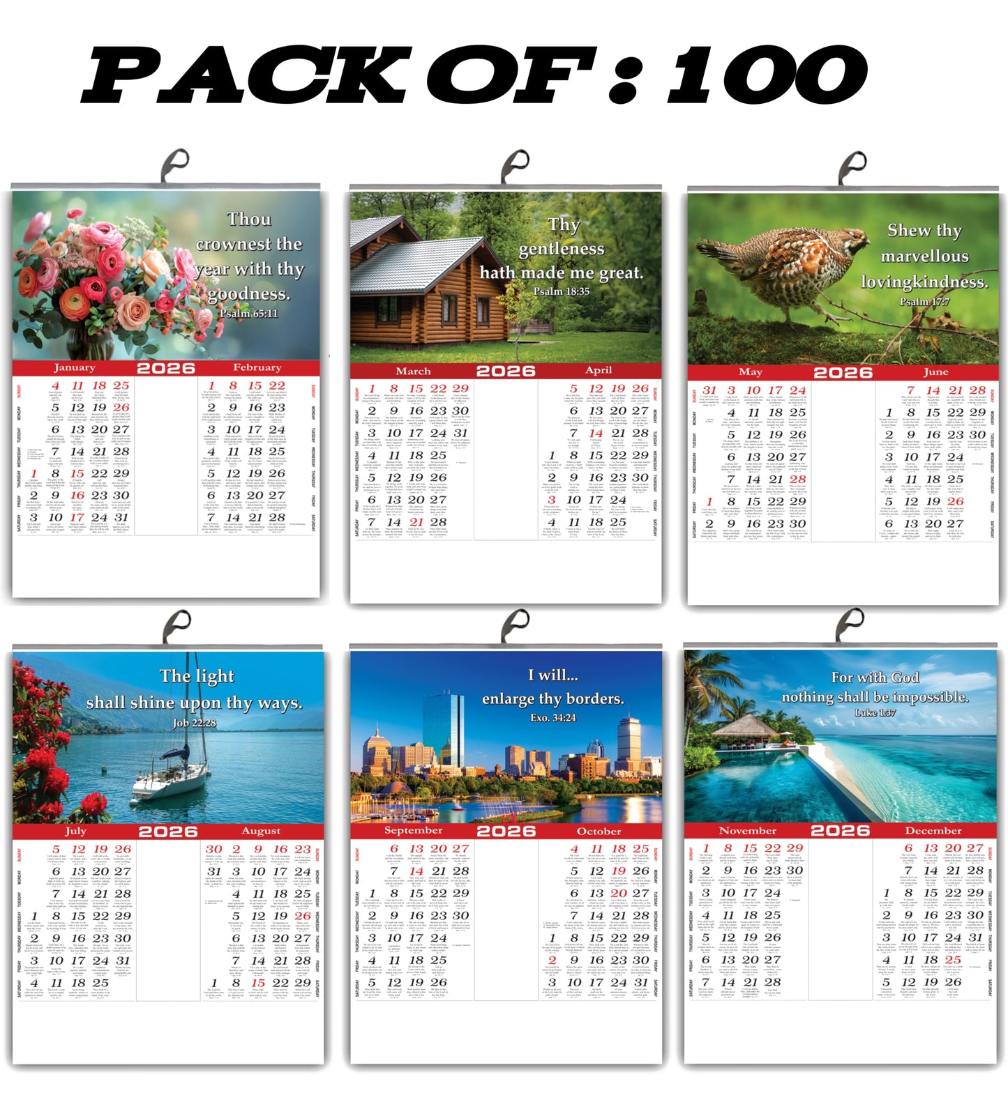 2026 "A Year of Wonder" Wall Calendar | Cute Baby, Flowers & Birds with Heartwarming Quotes 15x20 Inch Premium Glossy Wall Calendar