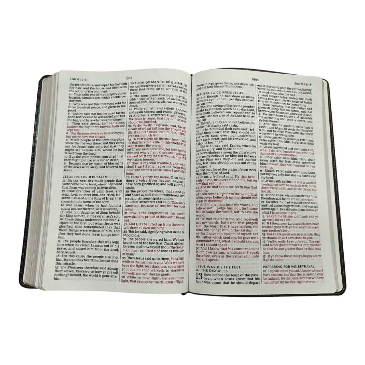 "KJV Large Print Thinline Bible – easy-to-read text in a slim portable design. Perfect for seniors, travel, or daily devotion. ISBN: 9780718098070."