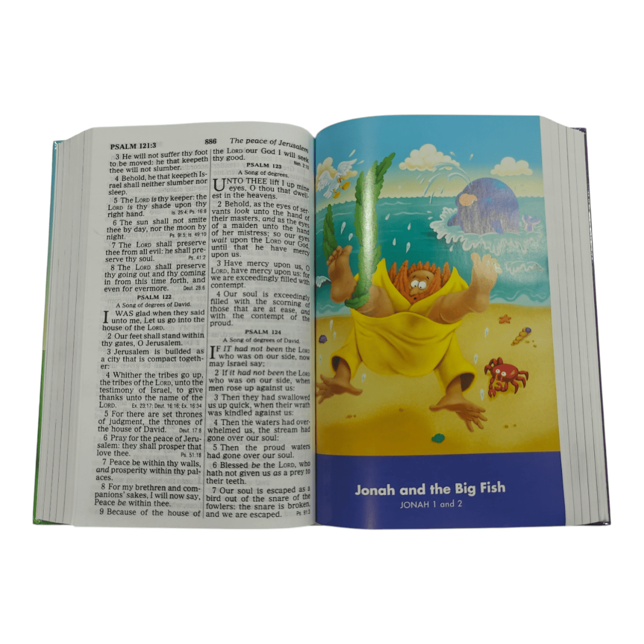 KJV The Beginner's Bible Holy Bible – First Bible for Young Children Ages 4-8 (ISBN: 9780310757047)