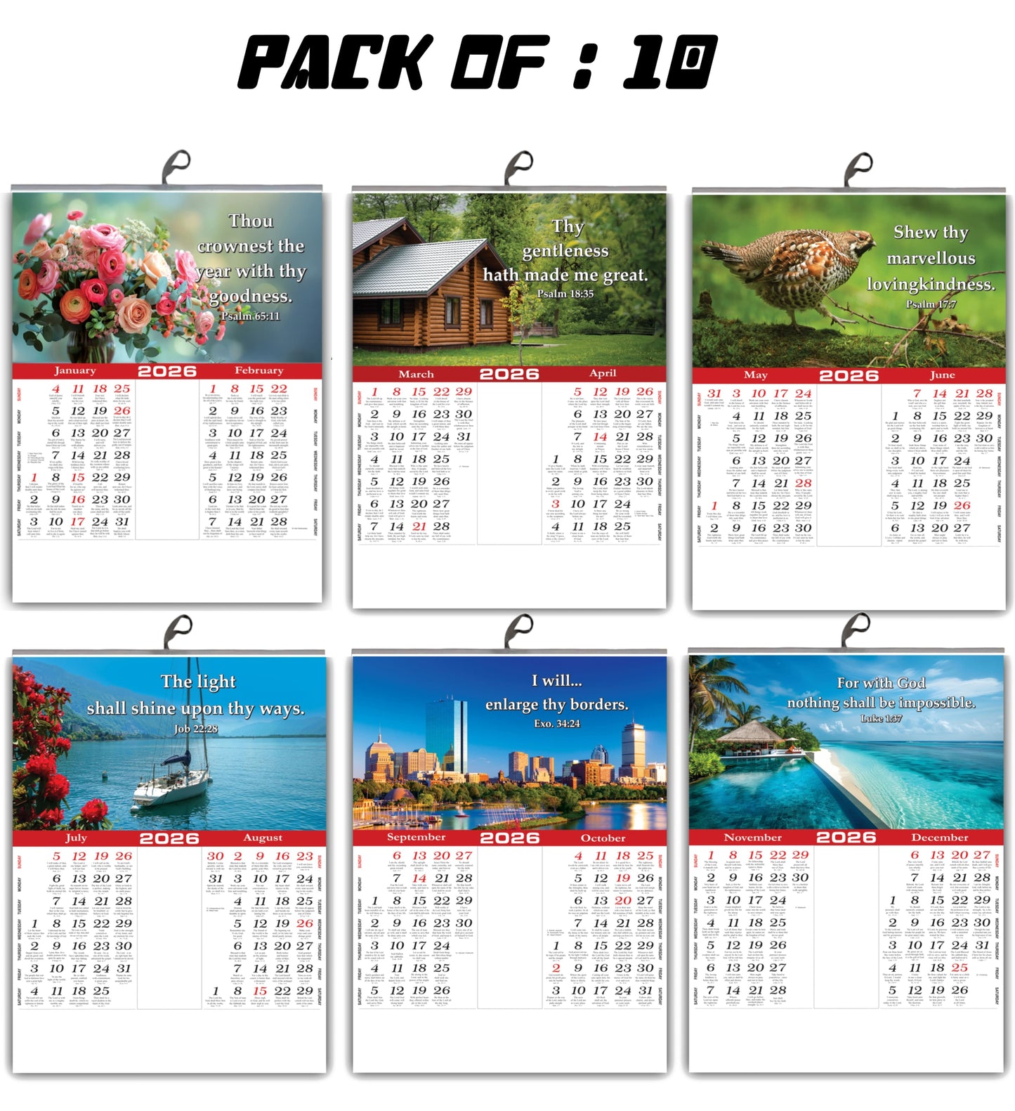 2026 "A Year of Wonder" Wall Calendar | Cute Baby, Flowers & Birds with Heartwarming Quotes 15x20 Inch Premium Glossy Wall Calendar