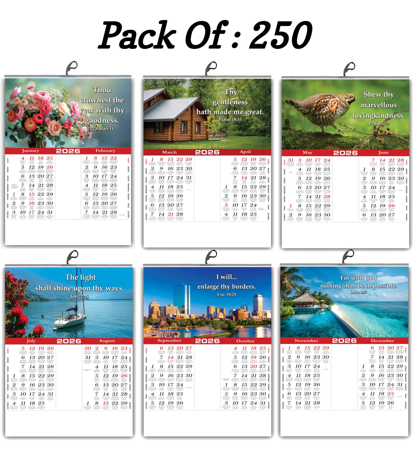 2026 "A Year of Wonder" Wall Calendar | Cute Baby, Flowers & Birds with Heartwarming Quotes 15x20 Inch Premium Glossy Wall Calendar