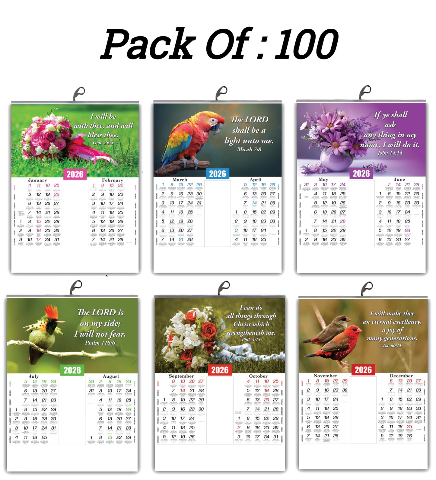 2026 English Baby Calendar: Beautiful Flowers, Birds, and Inspirational Promise Words | 15x20 Inch Premium Glossy Wall Calendar