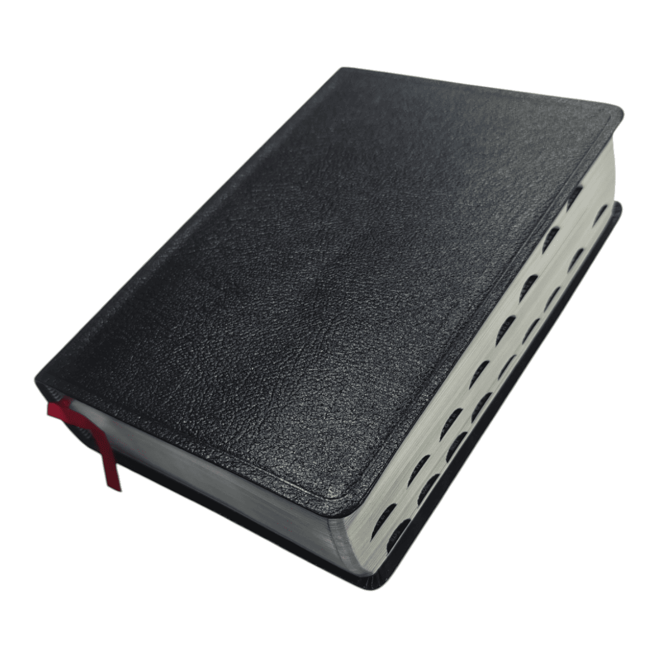 NIV Cultural Backgrounds Study Bible | Read the Bible Through the Eyes of the Original Audience