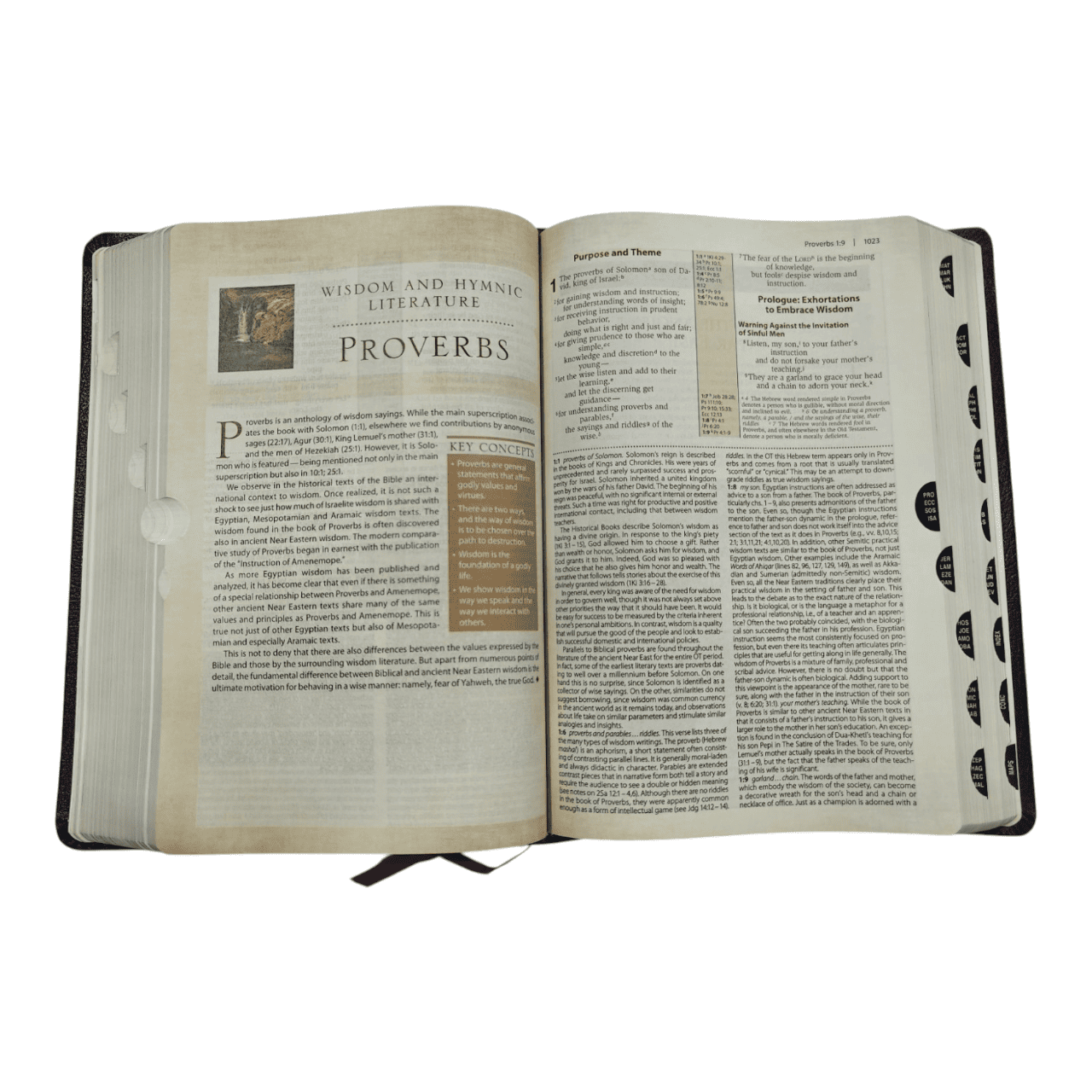 NIV Cultural Backgrounds Study Bible | Read the Bible Through the Eyes of the Original Audience