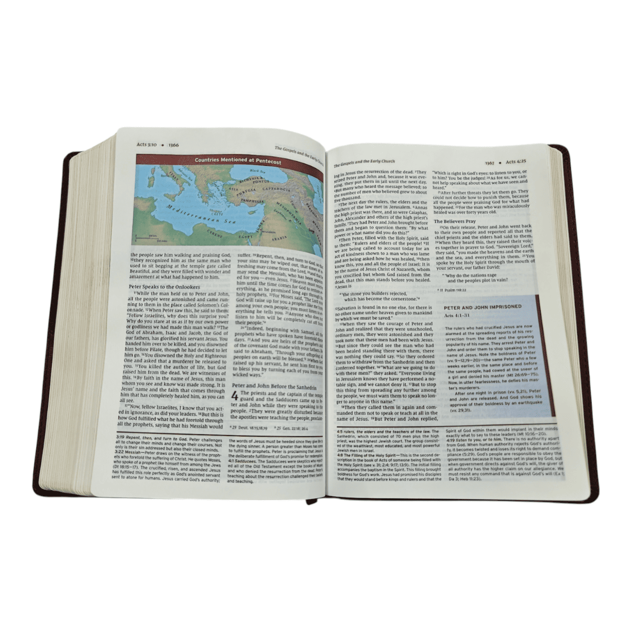 NIV Halley's Study Bible – with Concise Notes, Archaeological Insights & Historical Context (ISBN: 9780310451495)