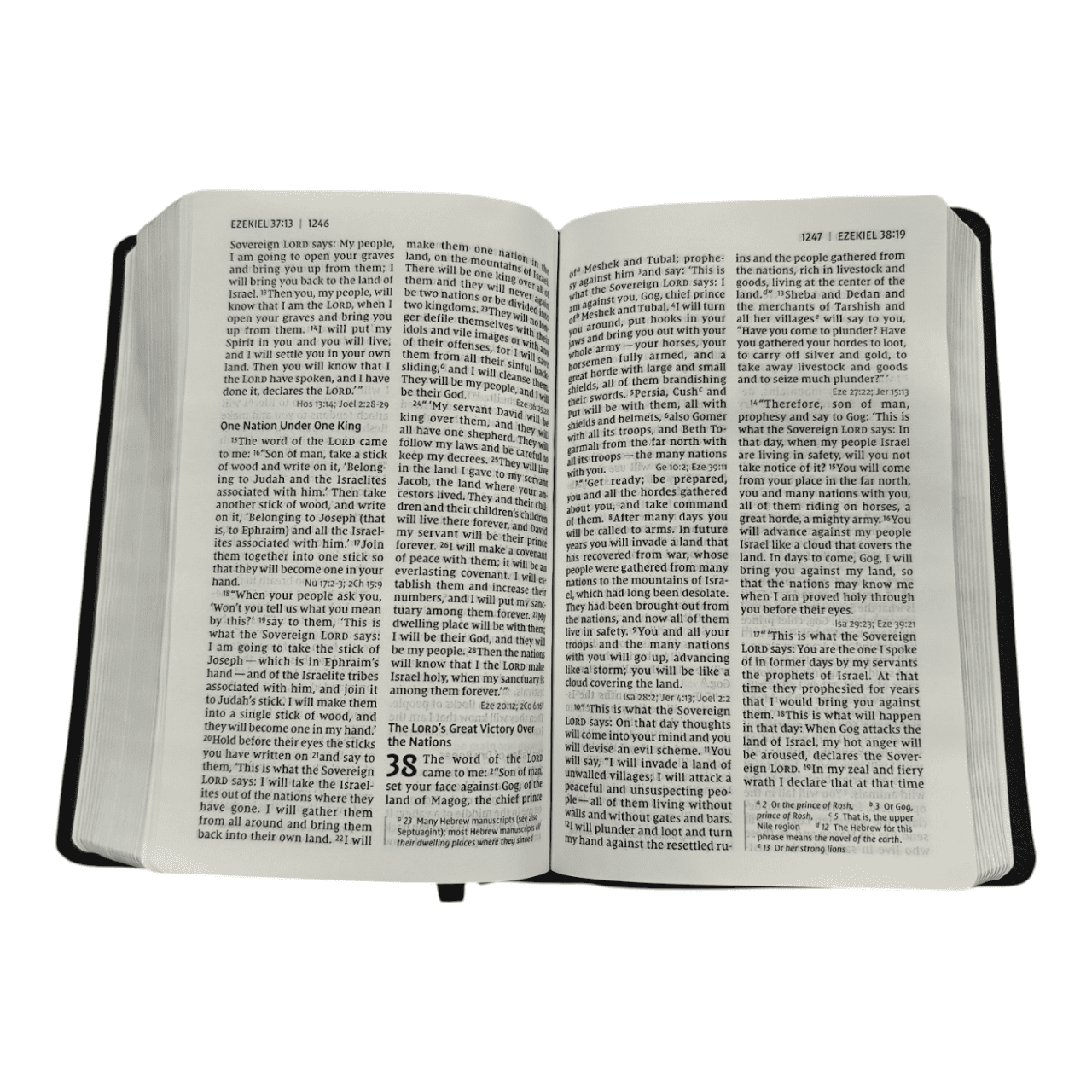 NIV Personal Size Large Print Reference Bible Value Edition – Compact, Easy-Read with Cross-References (ISBN: 9780310449768)