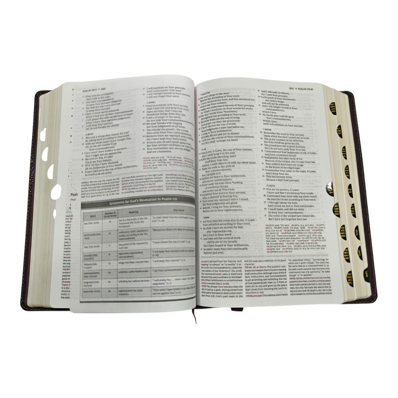 NKJV Study Bible, Thumb Indexed – The Complete Resource for Studying God’s Word, Genuine LeatherLook, Red Letter Edition, ISBN 9780785220572