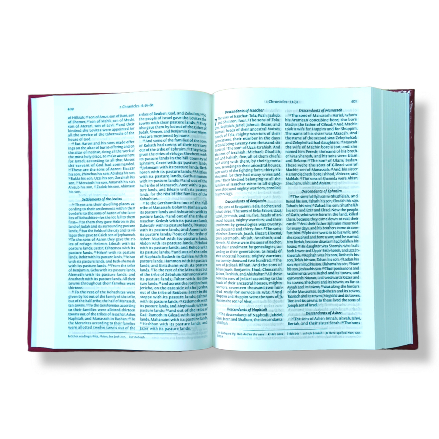 The Holy NRSV Bible In English