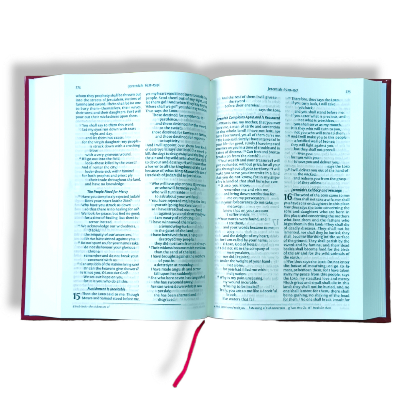 The Holy NRSV Bible In English