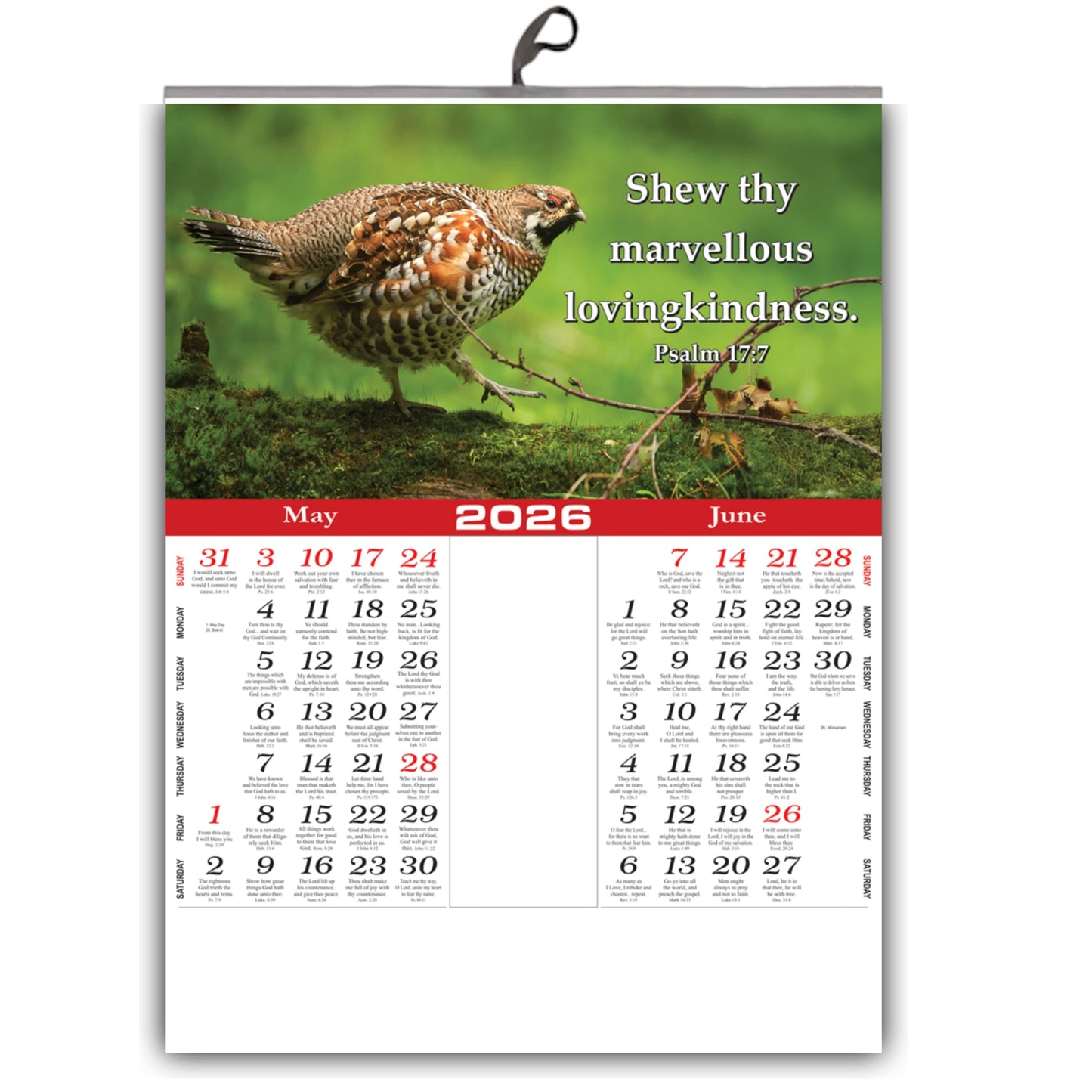 2026 "A Year of Wonder" Wall Calendar | Cute Baby, Flowers & Birds with Heartwarming Quotes 15x20 Inch Premium Glossy Wall Calendar