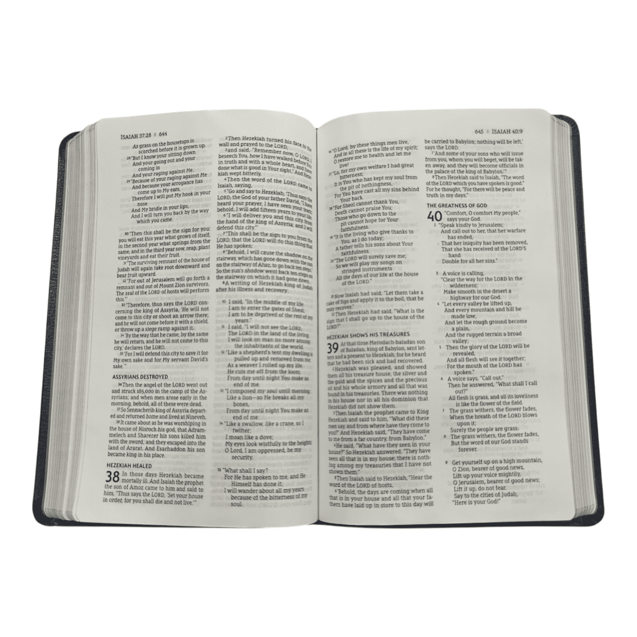 NASB Large Print Thinline Bible | New American Standard Version | Portable & Readable
