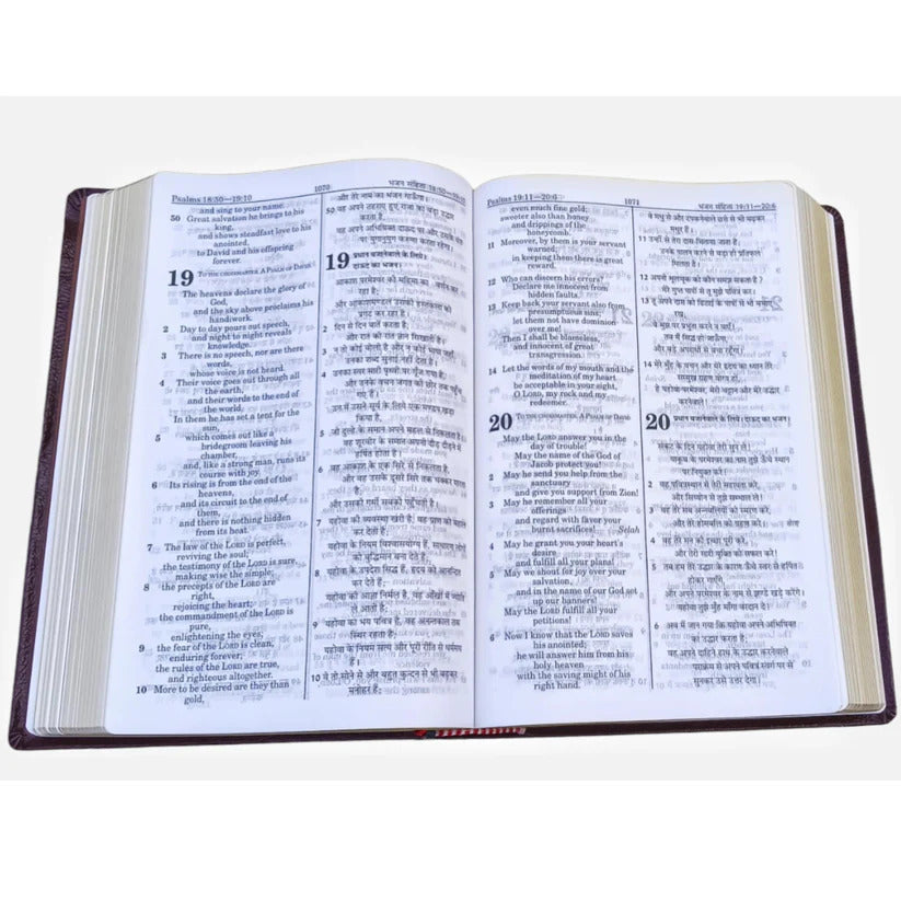 English Hindi Diglot Bible in Leather All In Color